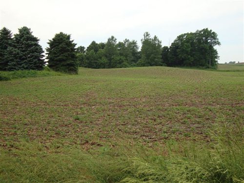 Property photo 11 - 120 Acres Offered in 9 Tracts - Real Estate & Personal Property Auctions